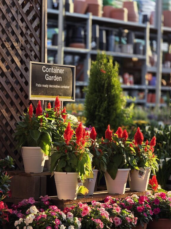 Tips for Creating a Beautiful and Functional Home Garden Year-Round